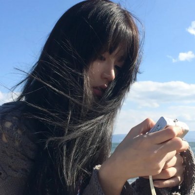 山茶花飘零